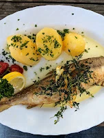 Chiemsee Renke Mit Salzkartoffel